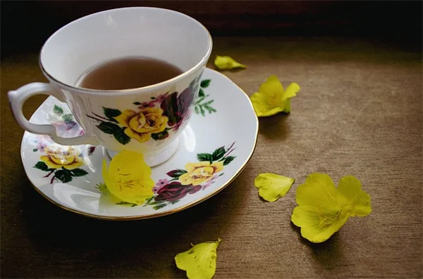 9月に挿し木できる低木10選【成功率アップのコツも解説】