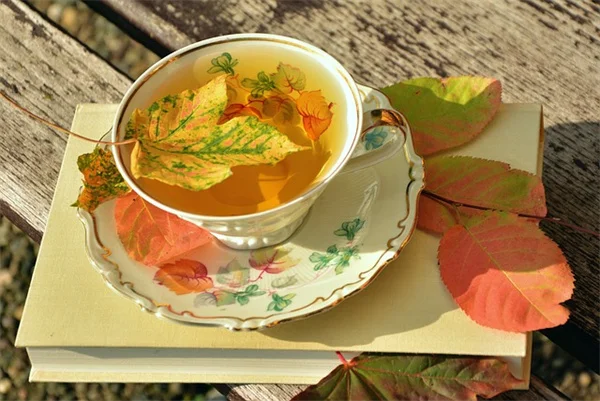 手作り肥料で蘭の花数が1.5倍に！私の簡単レシピと効果